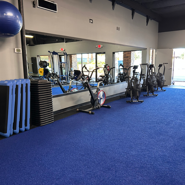 Paradise Valley Facility - Strength Equipment