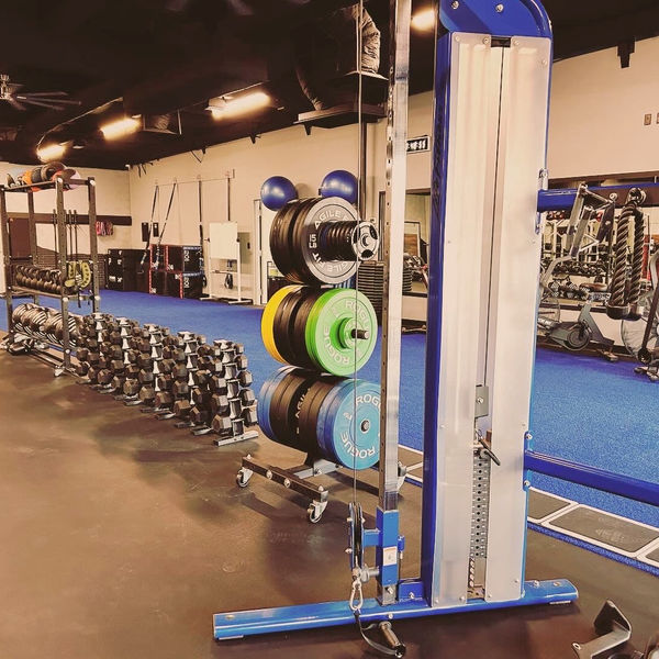 Paradise Valley Facility - Turf Strip